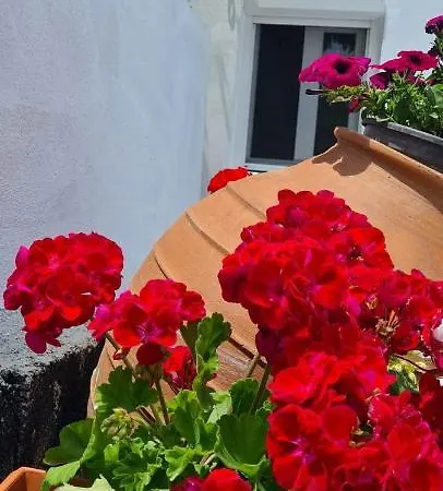 Elaion Vacation Naxos City